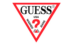 Guess Nl