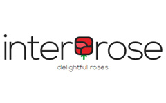 InterRose