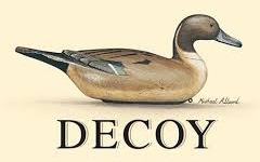 Decoy Wines