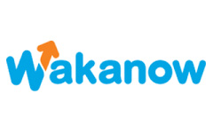 Wakanow Ng