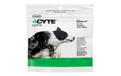 4CYTE Canine Joint Support Supplement Granules for Dog