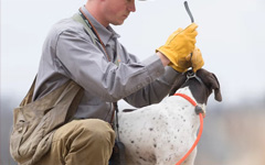 FREE SHIPPING on orders over $89 at SportDOG	
